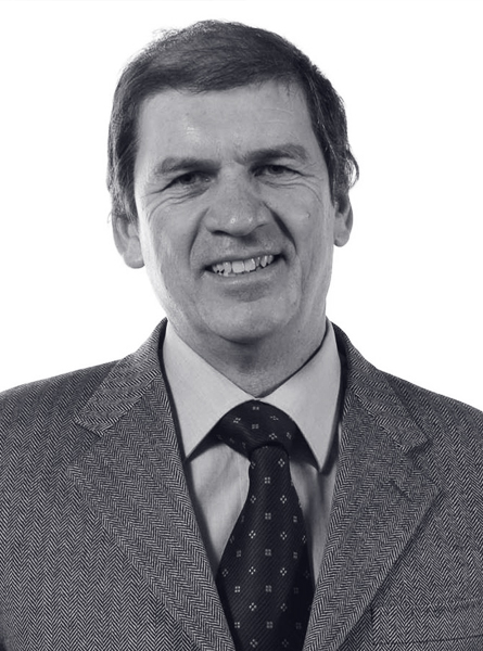 Marco Vincenzi